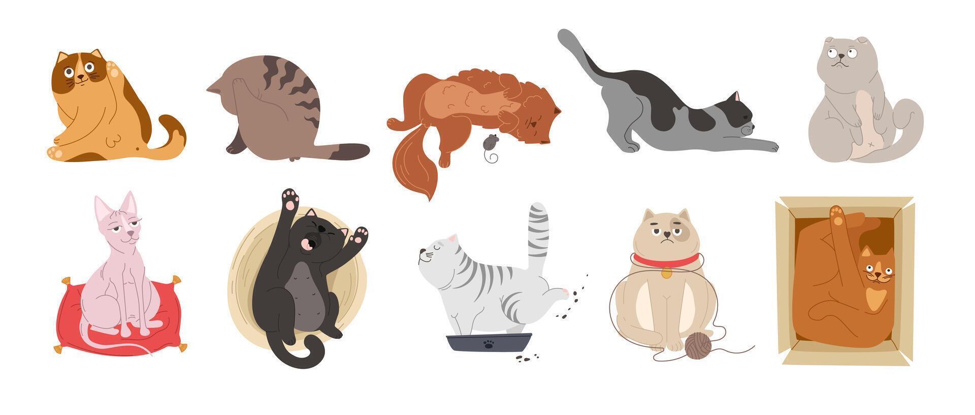 Cartoon cute cats. Cute cats lick themselves, play with toys, sit in a gift box. Funny pets, colorful characters vector