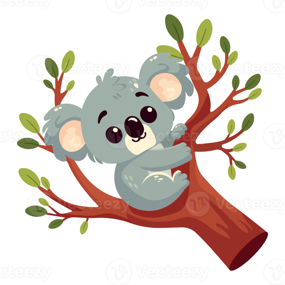 koala on tree brunch isolated on transparent background png