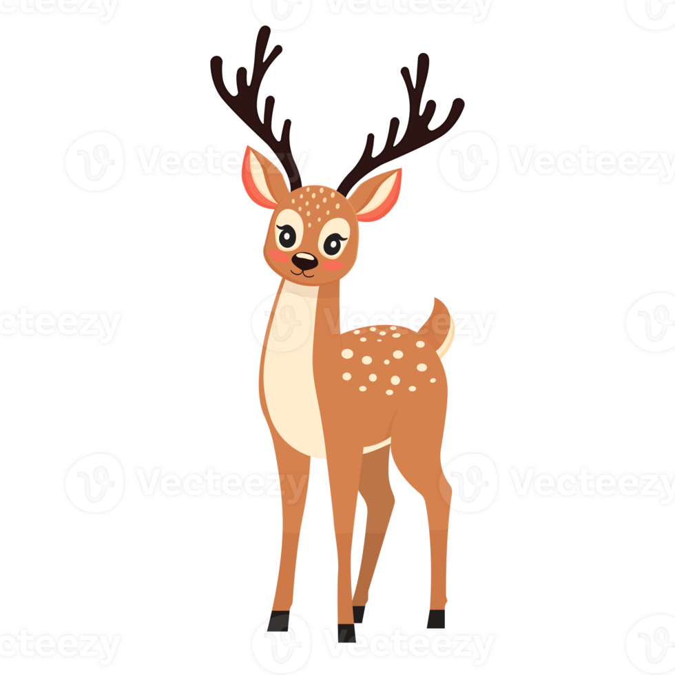 baby deer isolated on transparent background png