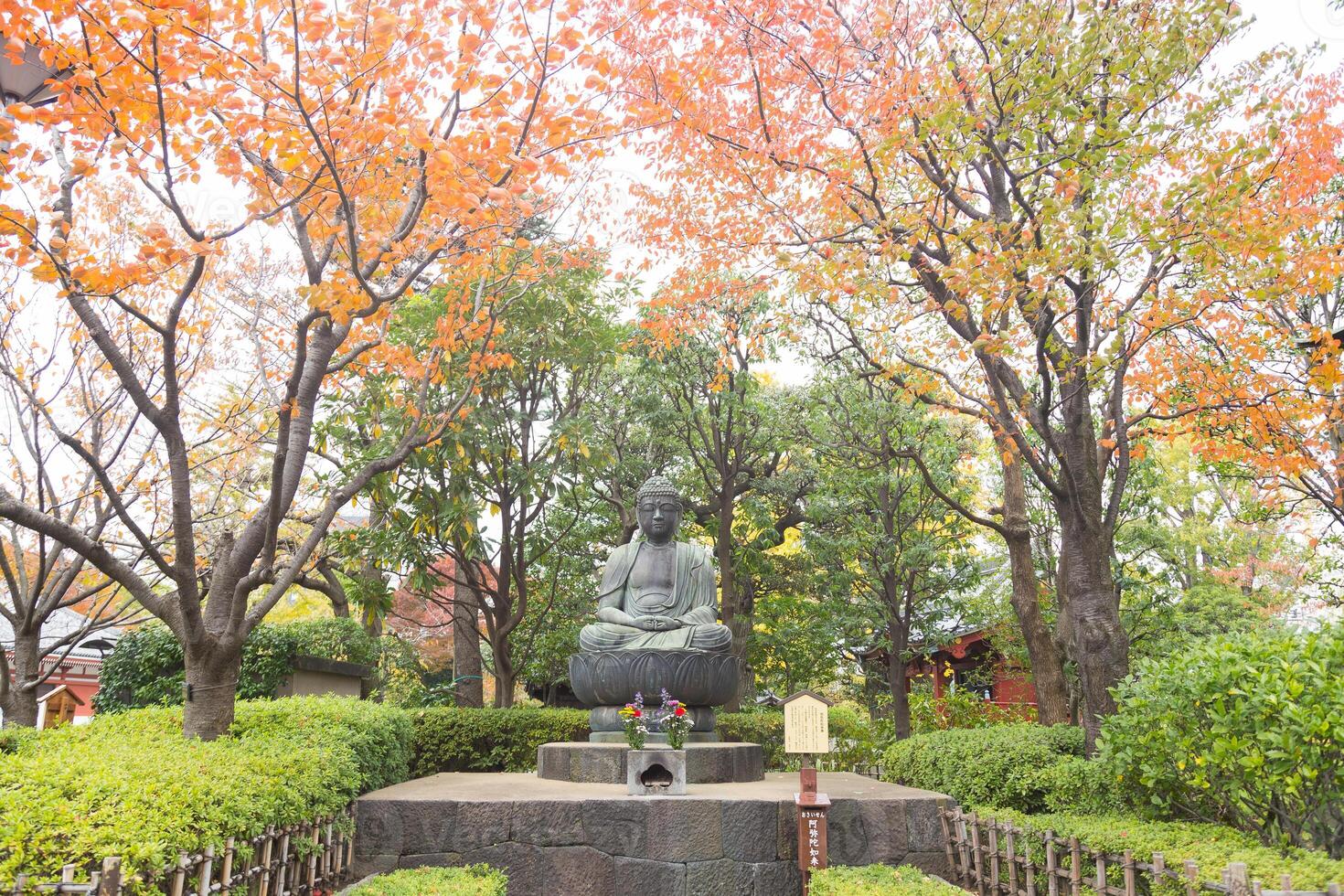 A buddha statue in a garden surrounded by trees photo