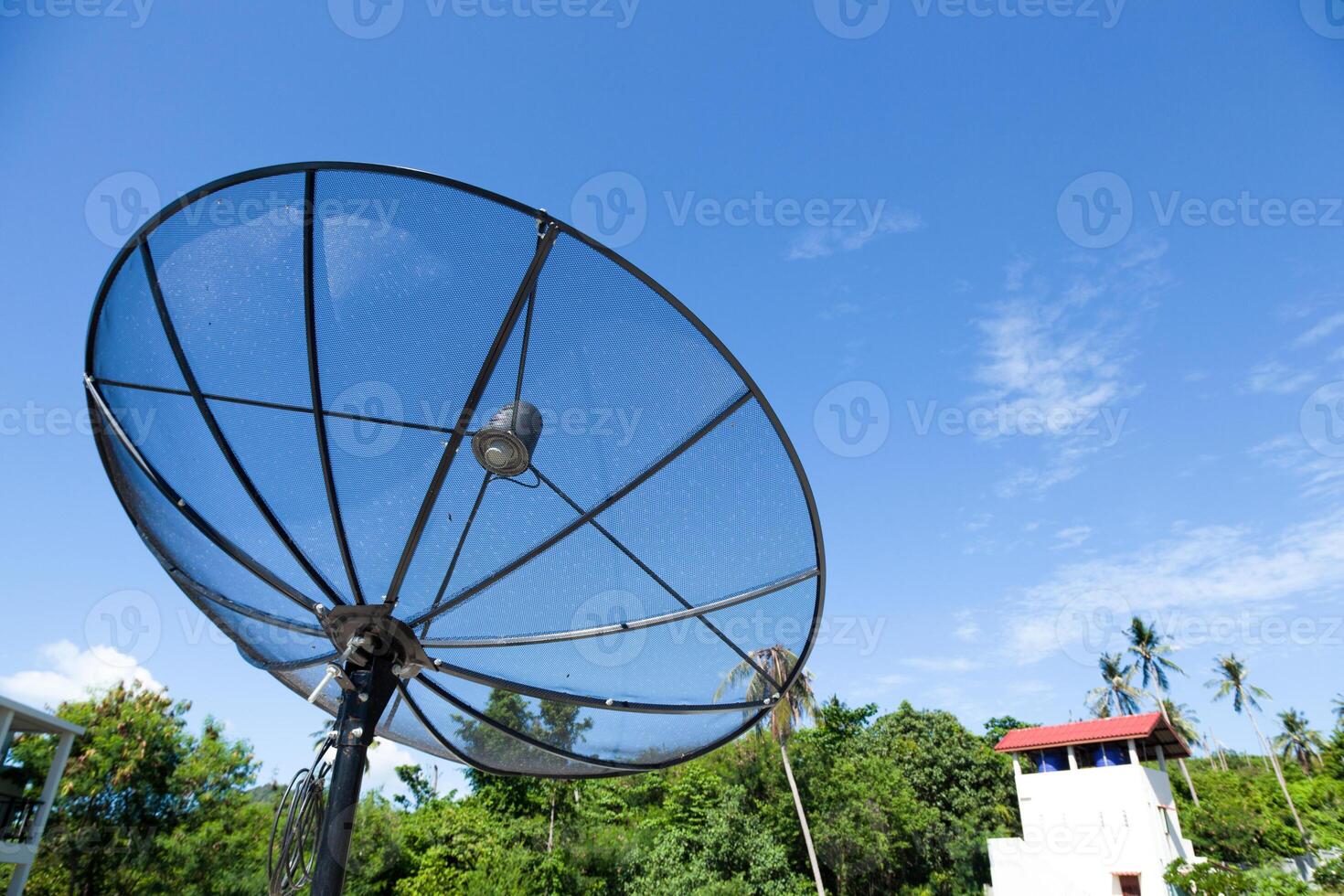 A large metal dish on top of a grassy field photo