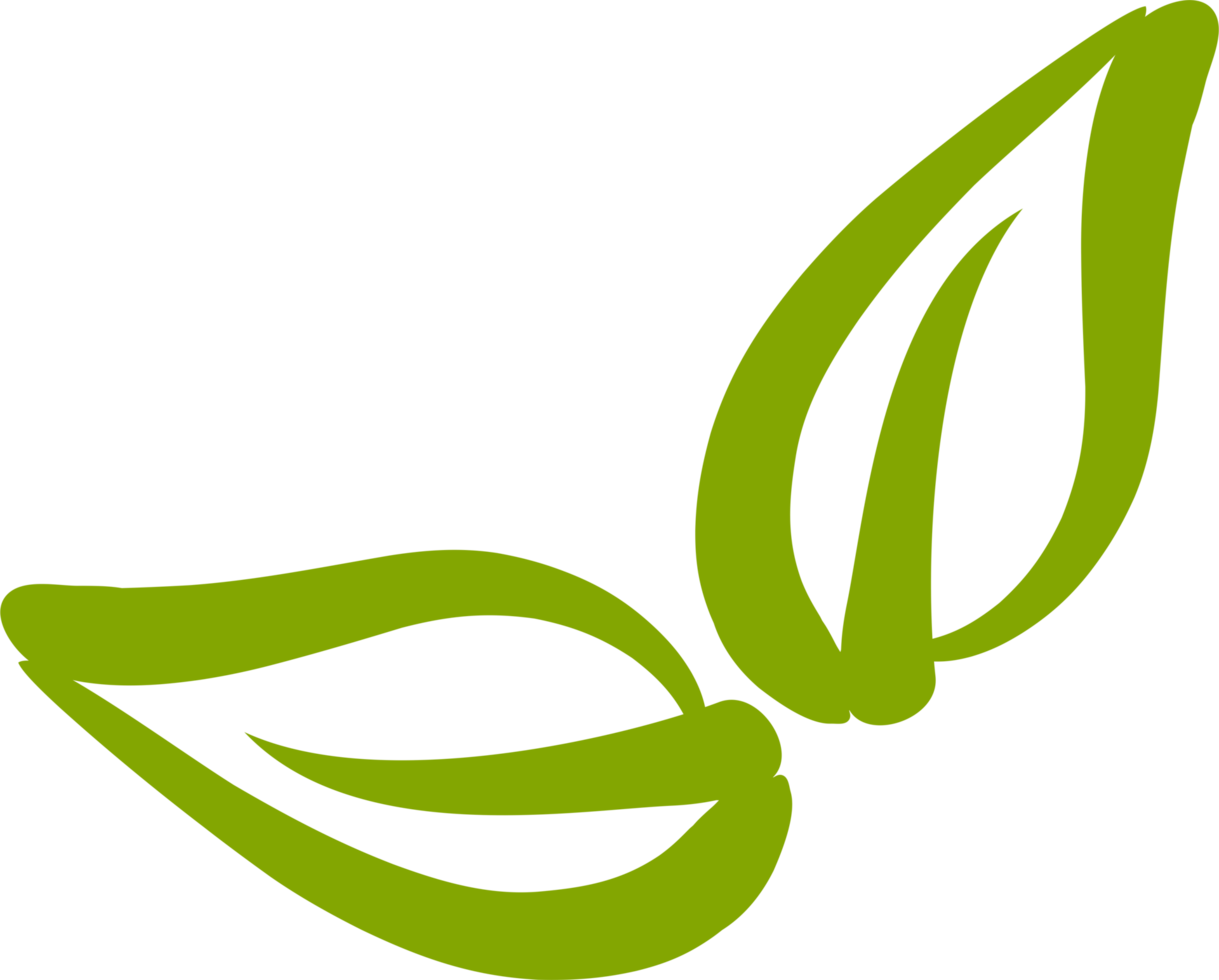 Green tea leaf line art icon element png