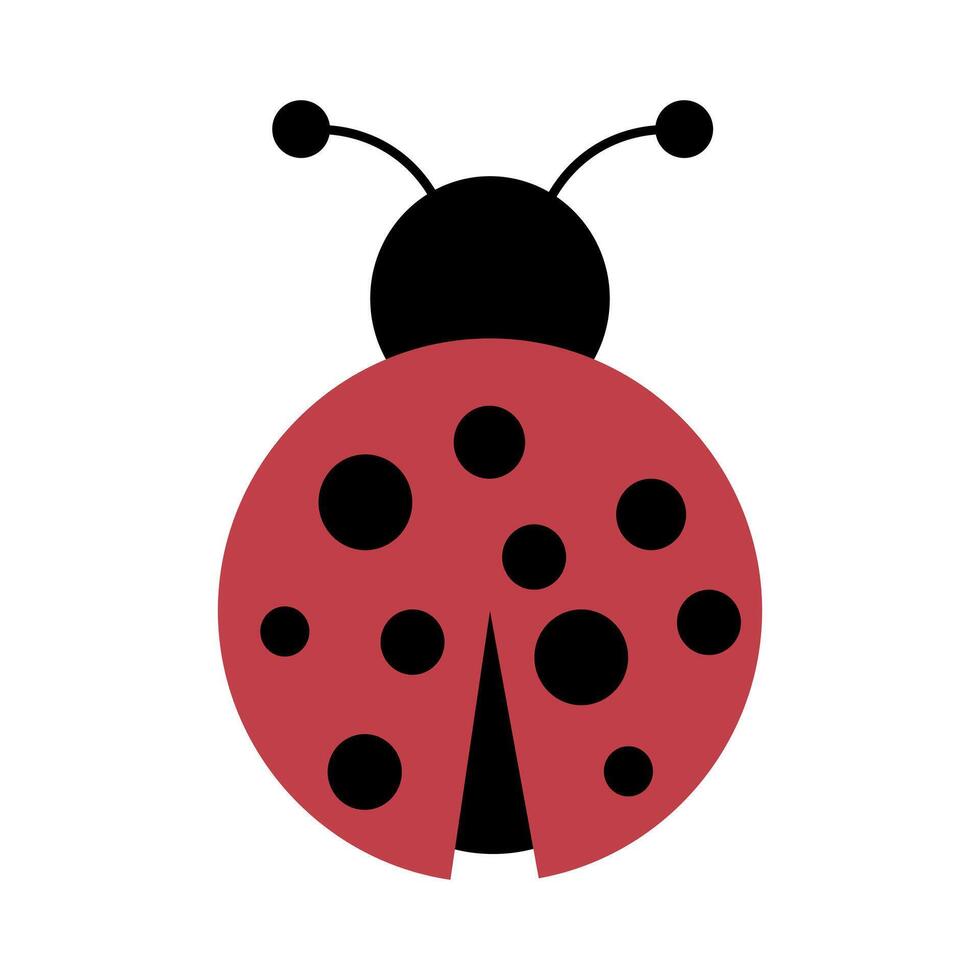 Ladybug icon, ladybird vector