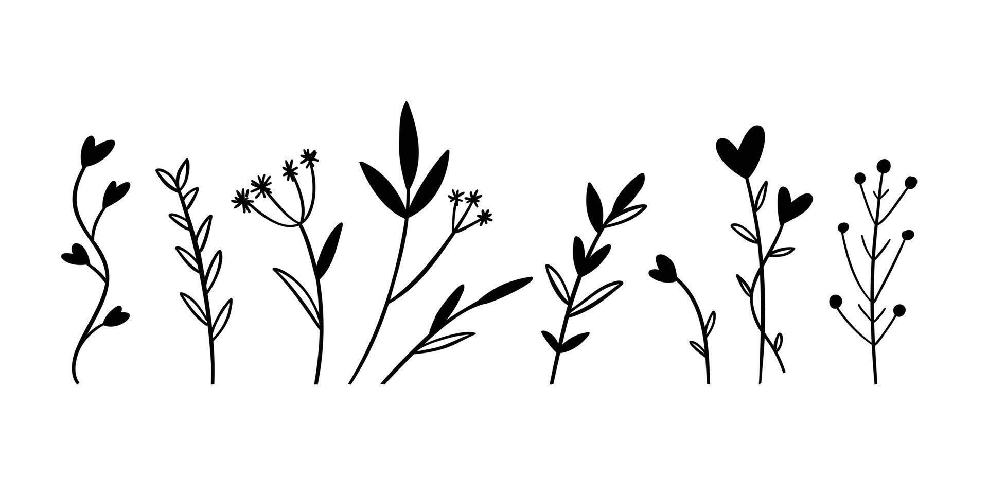 Collection of simple black and white floral silhouettes, botanical design elements, Flat illustration on white background vector