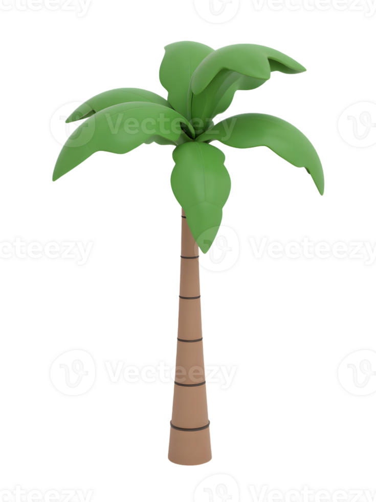 isolated realistic palm tree in the summer png