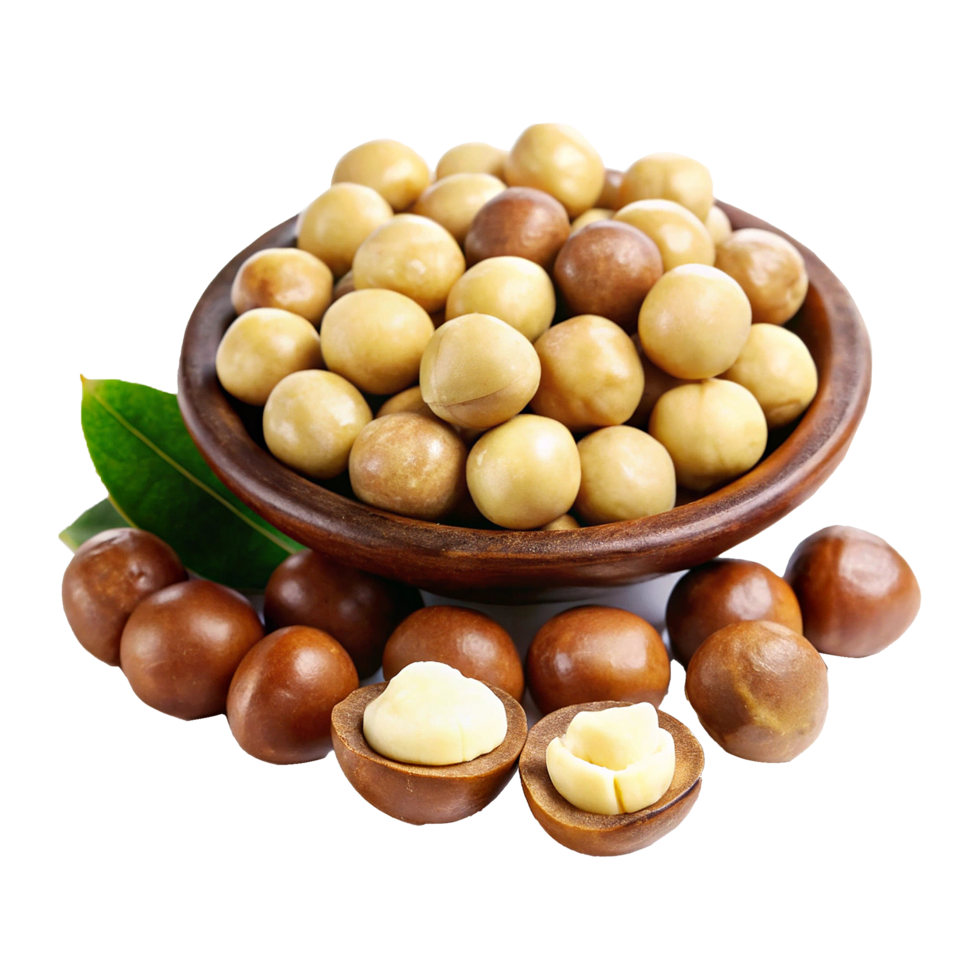 Macadamia nuts in a bowl with a leaf png