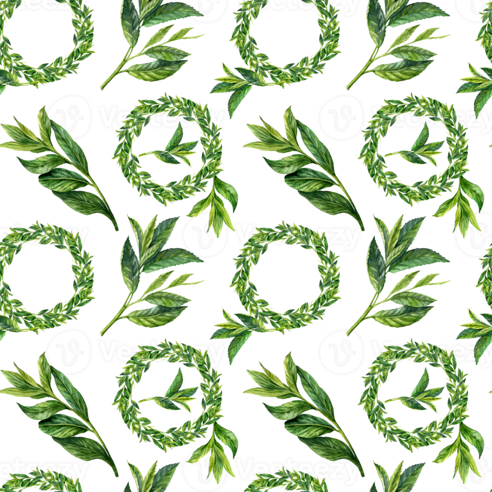 watercolor wrapping paper with vignettes and tea branches png