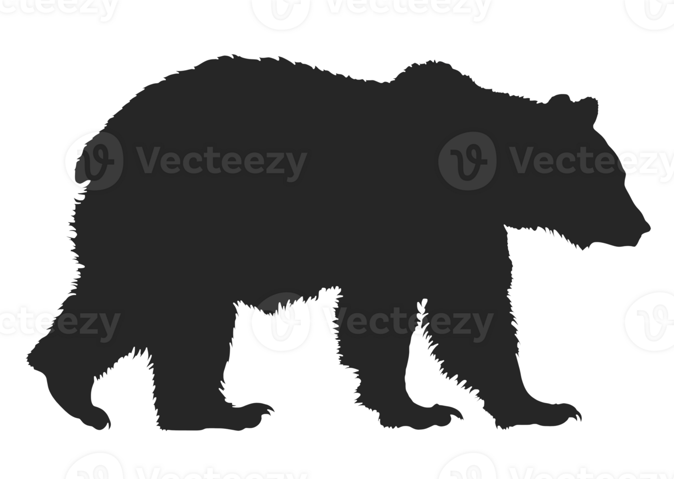 Bear silhouette isolated on transparent background png