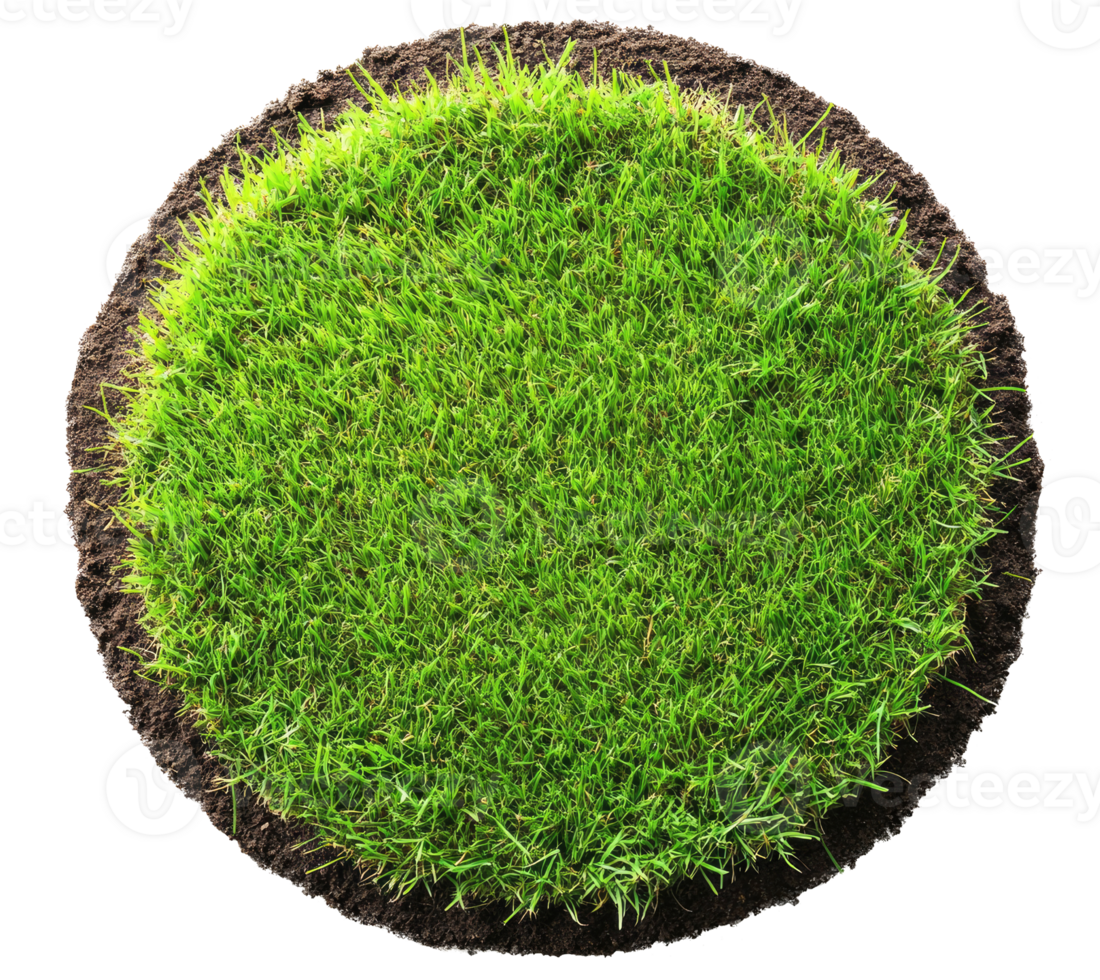 Circle of land with grass isolated on transparent background png