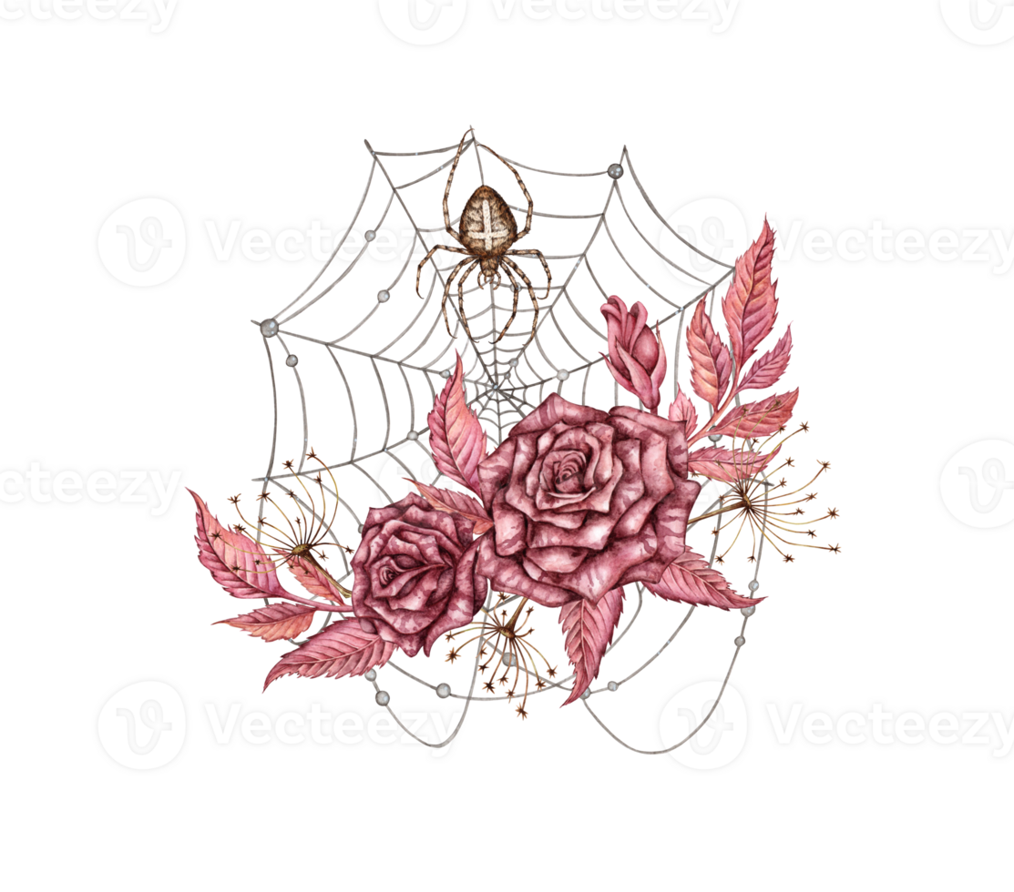 Rose with leaves, buds, burgundy gothic and cobweb with spider, watercolor illustration. Halloween or Day of the Dead botanical decoration isolated from background. Design concept for poster, banner, png