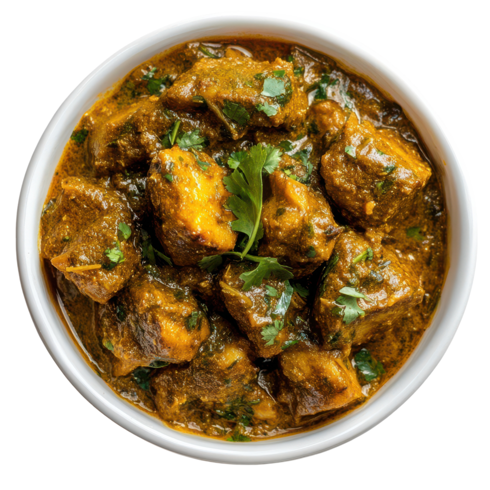 A bowl of curry with meat and herbs png