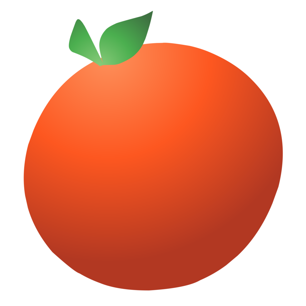 3d orange fruits illustration png