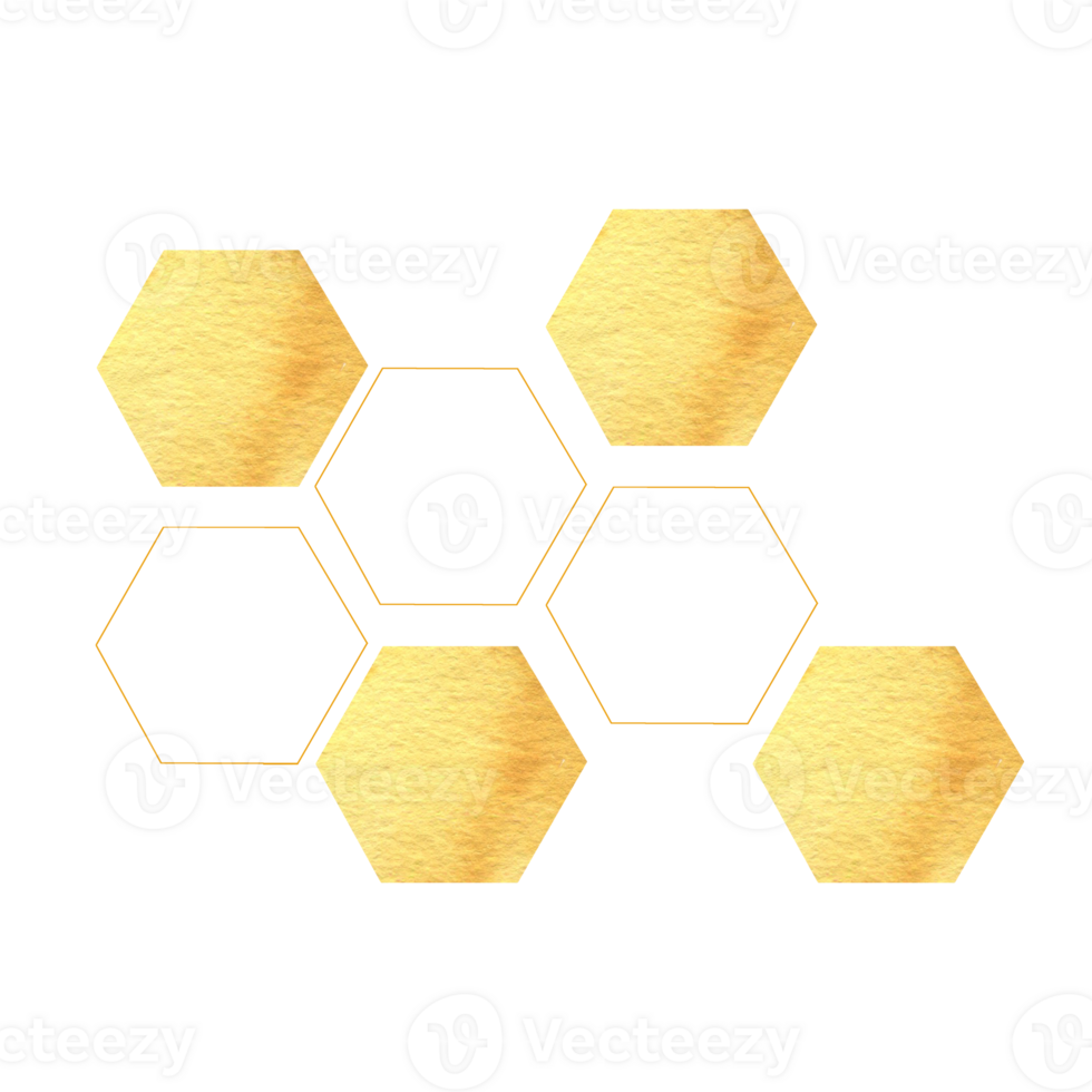 Honeycomb hexagons yellow textured and graphics elements in watercolor template. Abstract geometric background for poster, menu, restaurant, cosmetics packing design. Golden sweet food clipart png