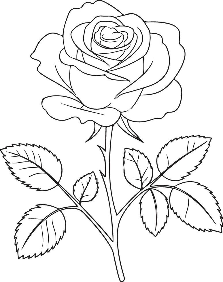 Timeless Grace Rose Line Illustration vector