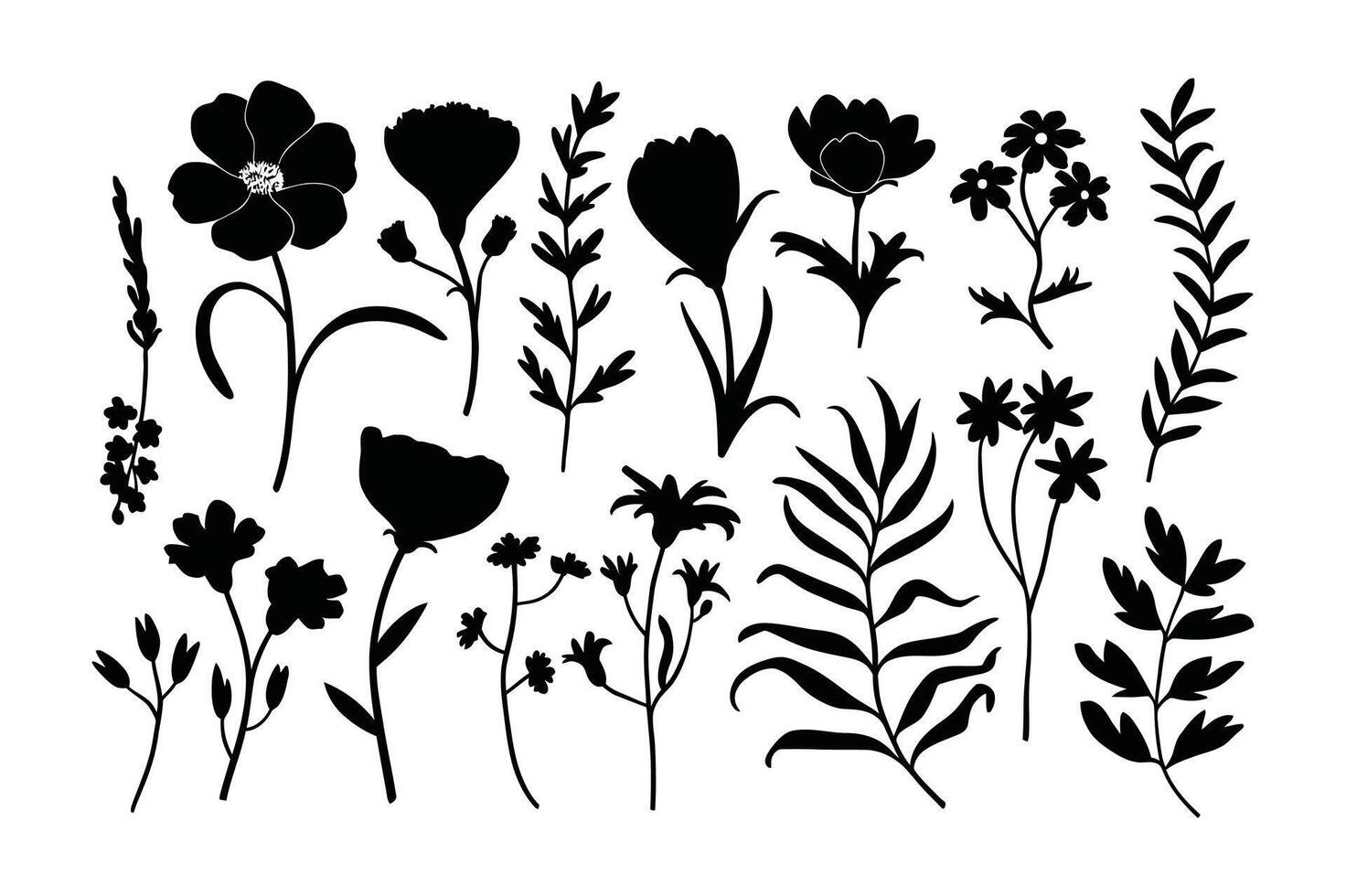 Bloom in Lines Artistic Floral Expressions vector