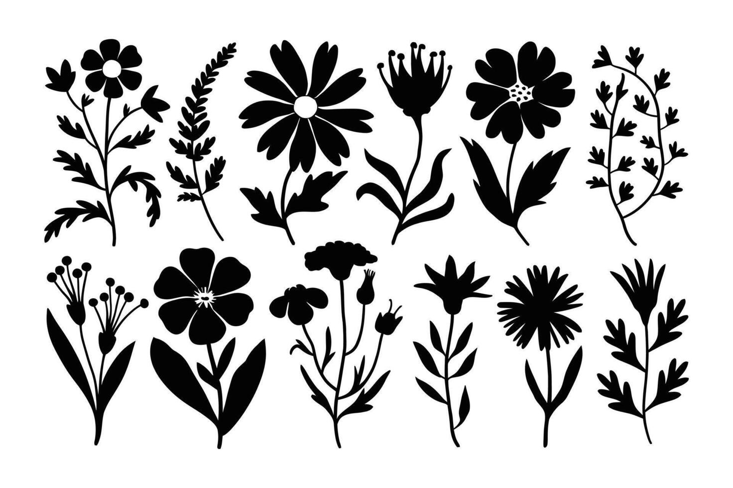 Whispered Florals Line Art Creations vector