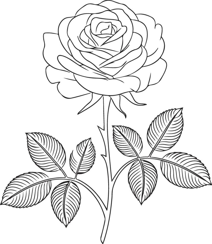 Ethereal Petals Rose Art in Lines vector