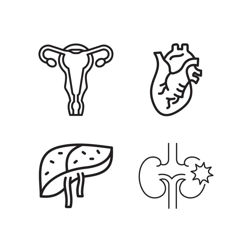 Set of human internal organ icon. vector