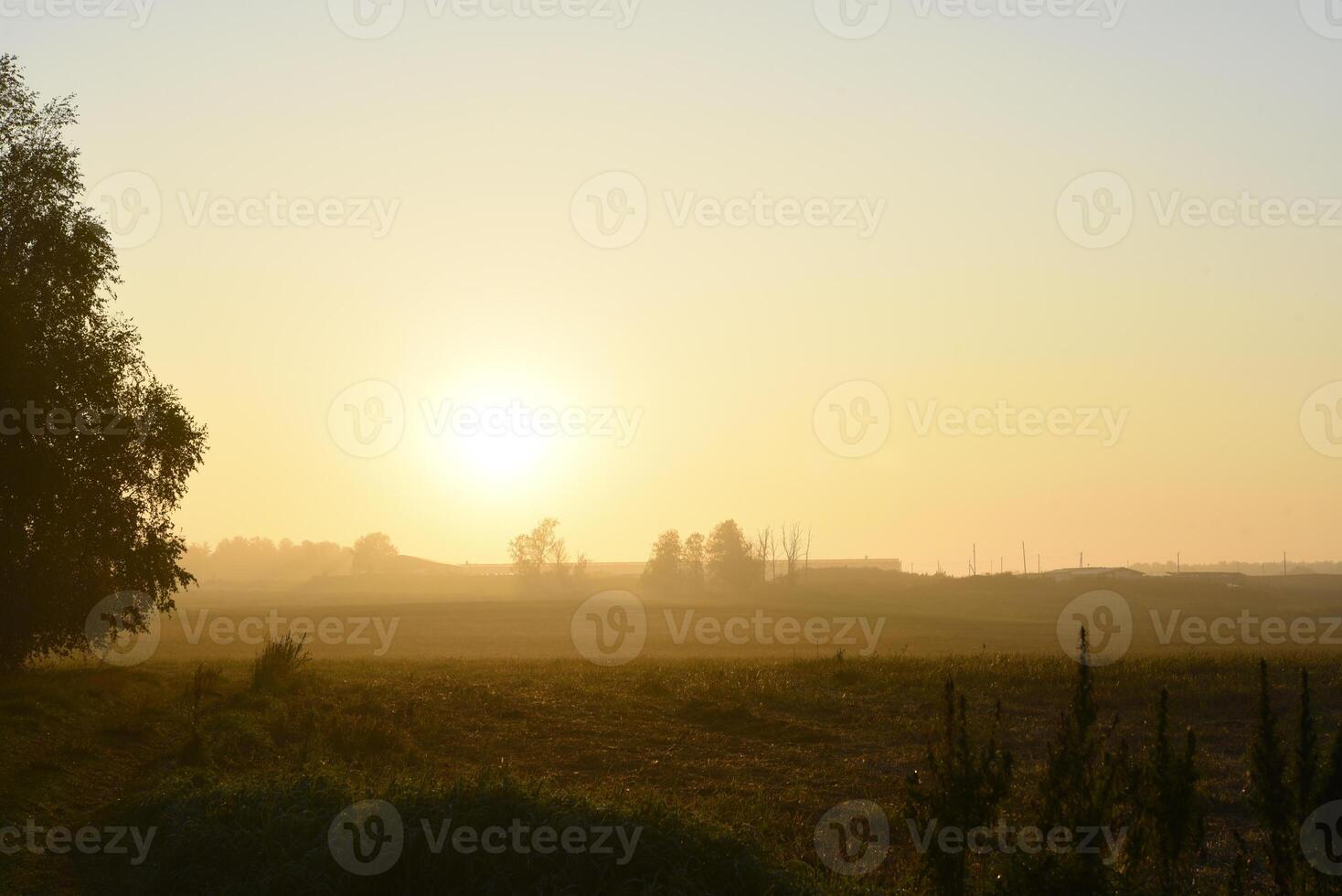 The rising sun in the morning field. The misty landscape of the countryside. photo