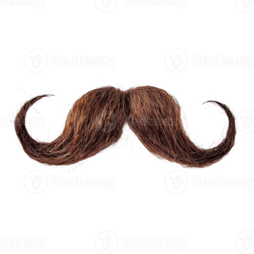 Quirky Brown Mustache With Exaggerated Curls Displayed on Isolated Background png