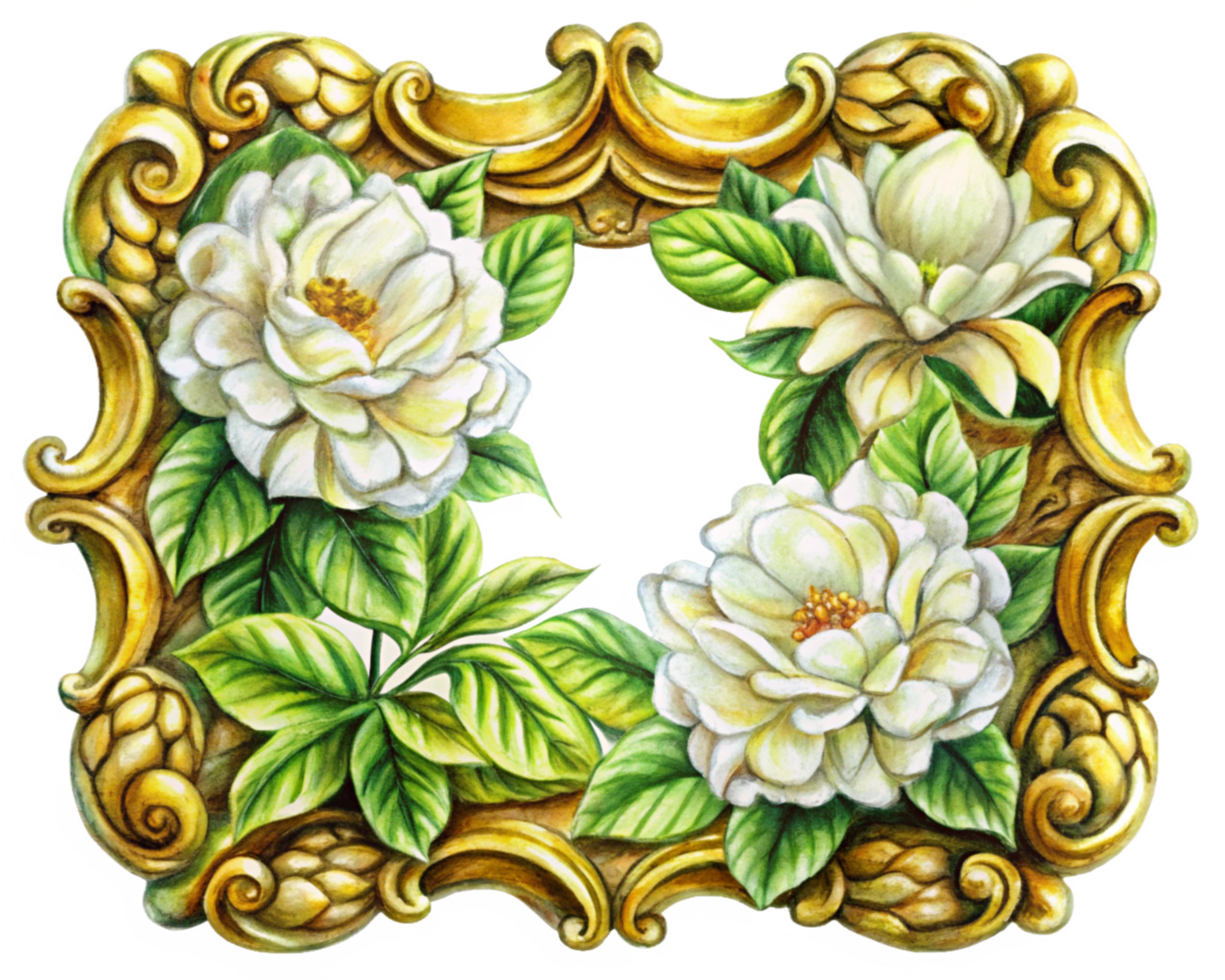White Blooms Adding Charm to Ornamental Gold Frame png