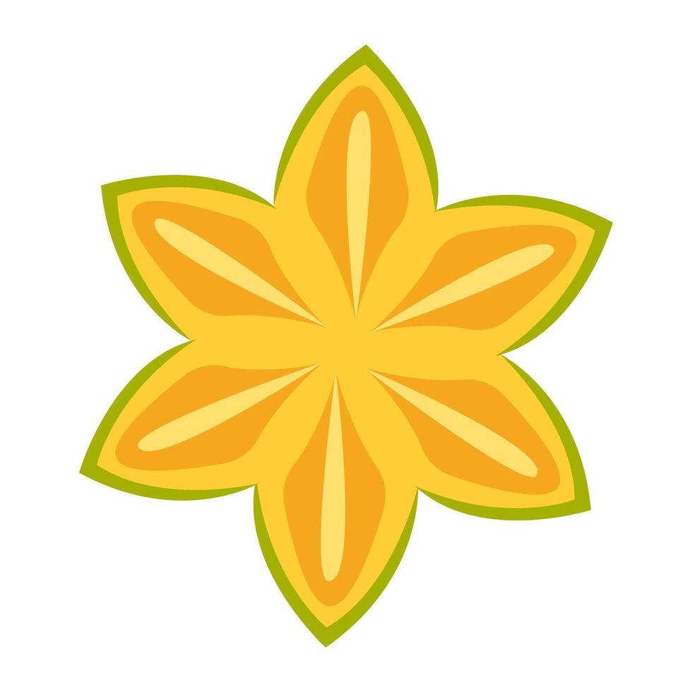 Starfruit Cartoon Illustration vector