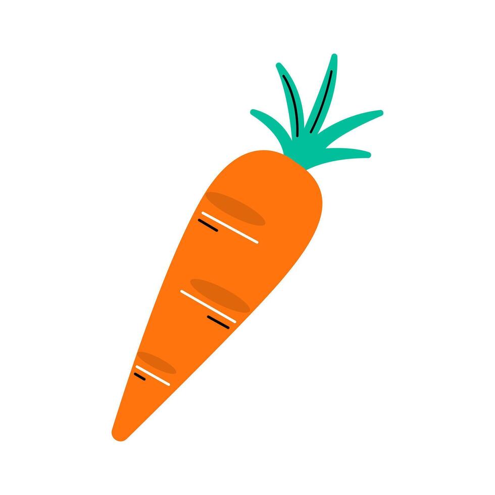 Carrot Cartoon Illustration vector