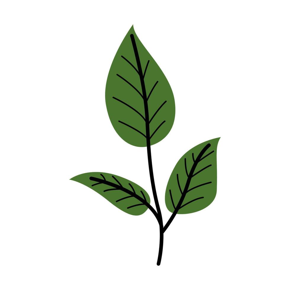 Cluster Leaf Illustration vector