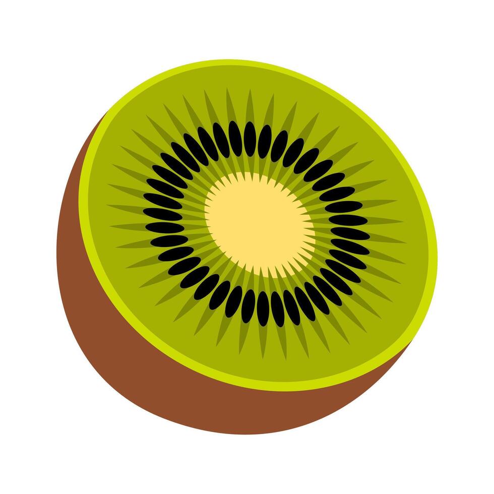 Kiwi Fruit Illustration vector