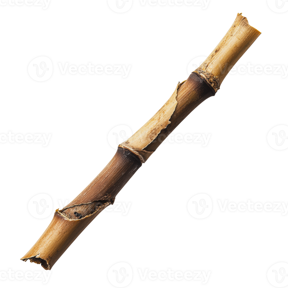 A single worn twig with bark removed, laying on a white background, highlighting natural textures and earthy tones png