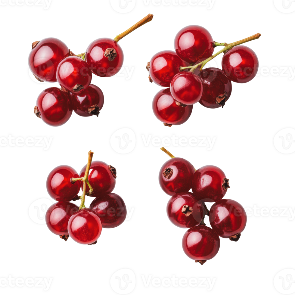 Fresh red currants arranged on a white backdrop png