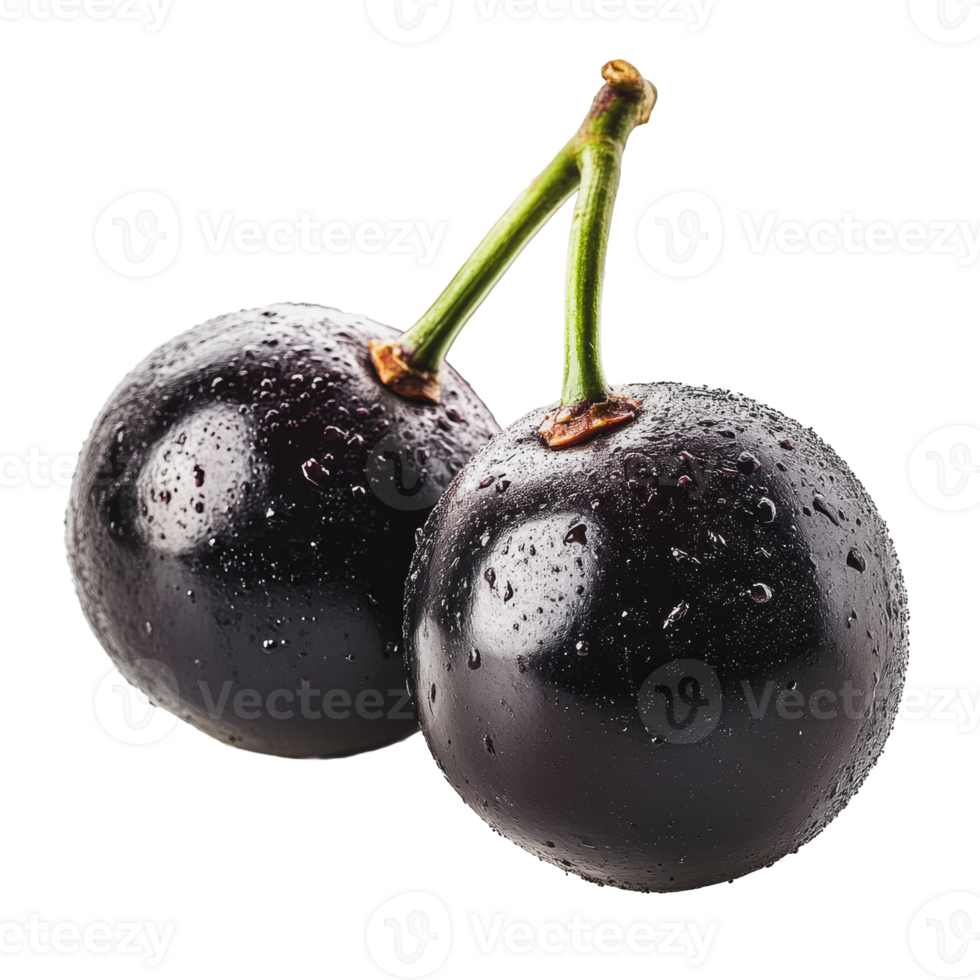 Fresh black grapes on a white background png