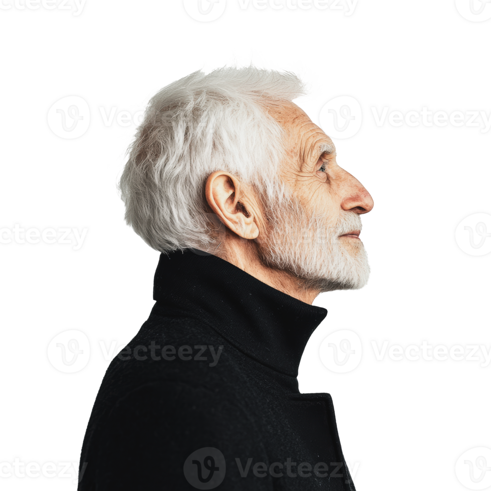 Elderly man with white beard in profile view png