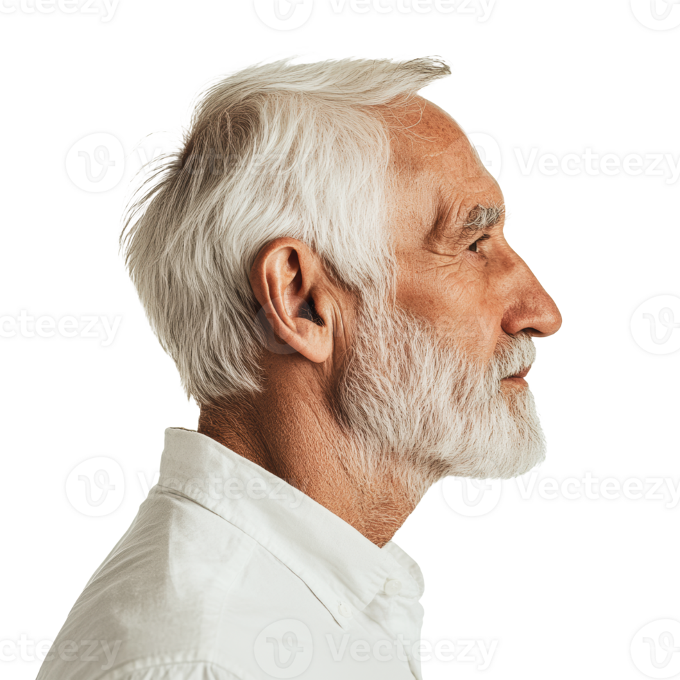 Elderly man with gray beard and white hair png