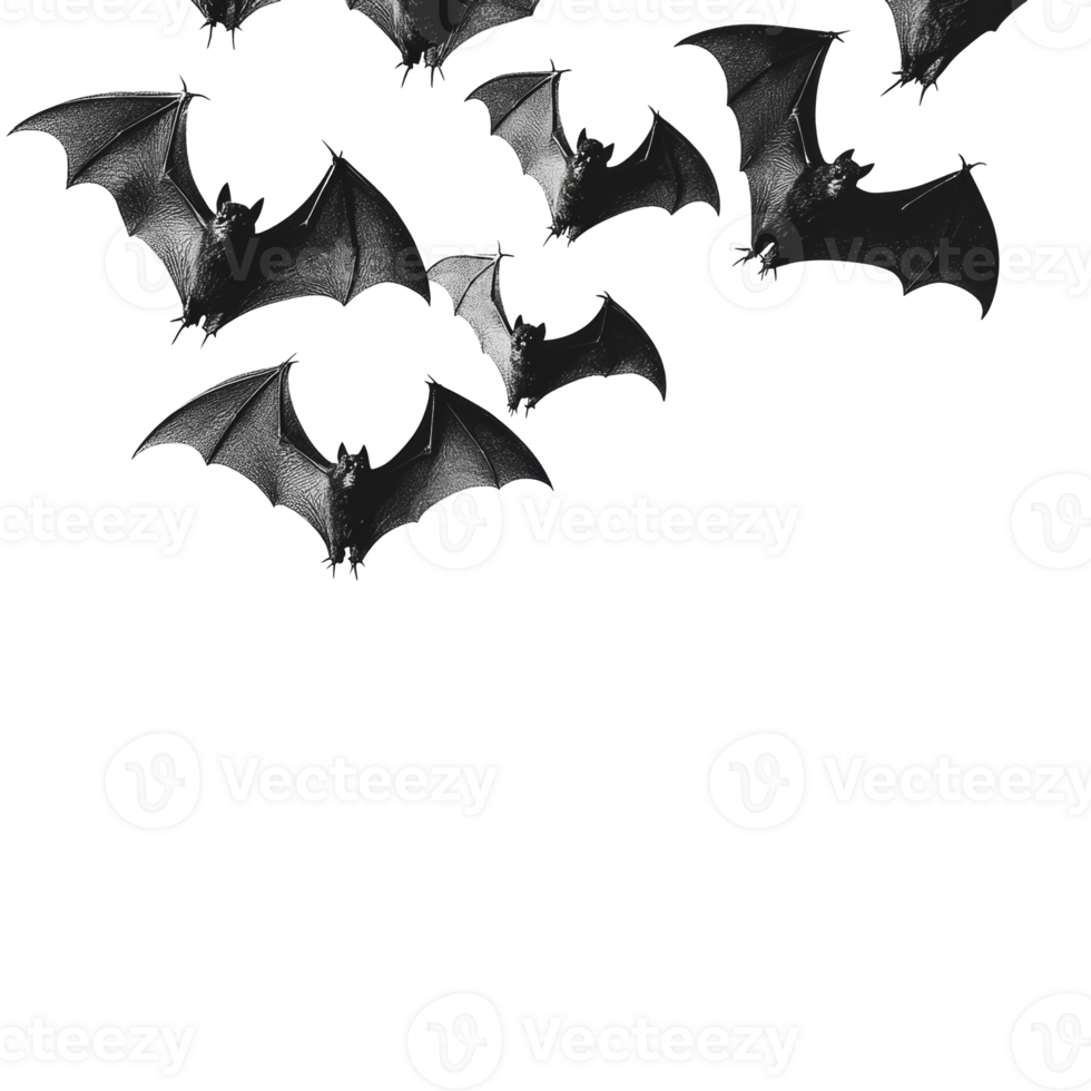 Bats flying in formation on white png