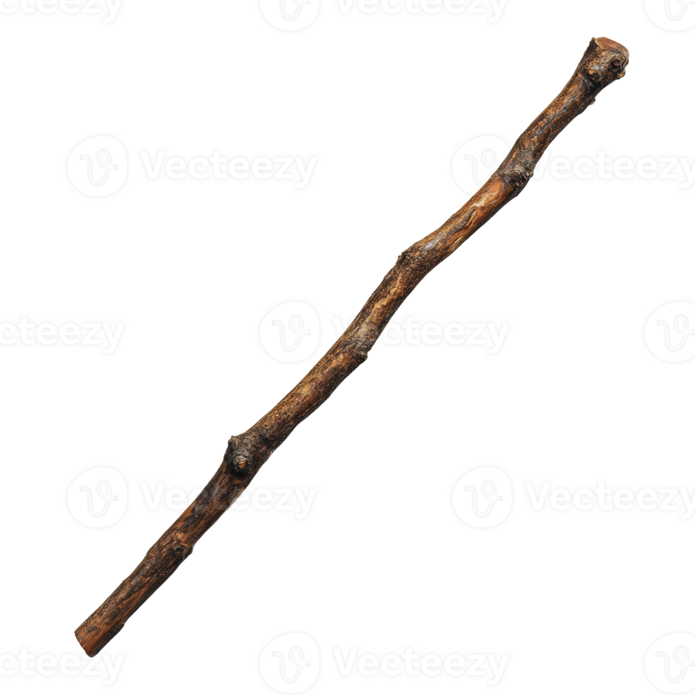 Natural stick laying on a light background png