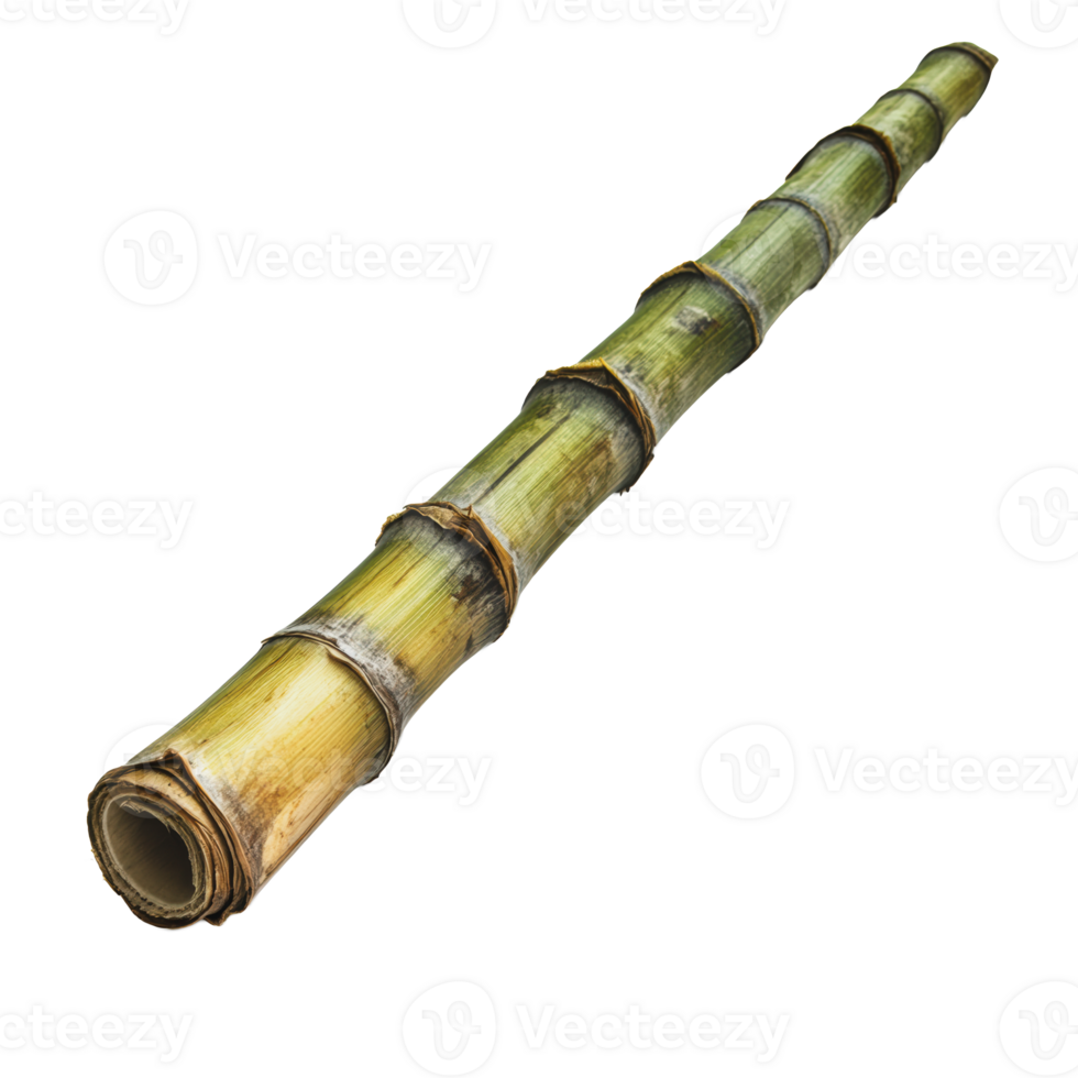 Long green bamboo stick on a white background png