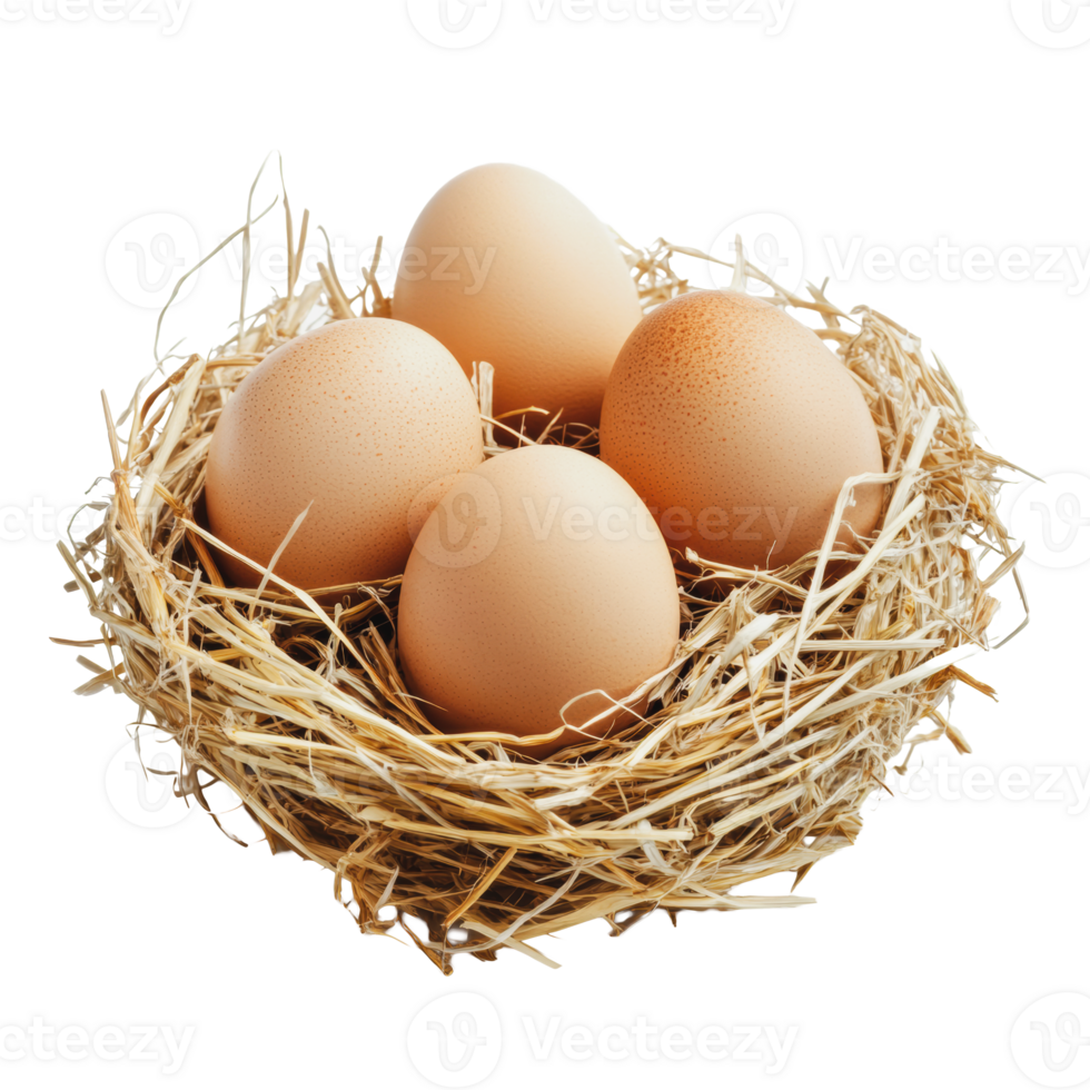 Fresh eggs in a straw nest on a white background png