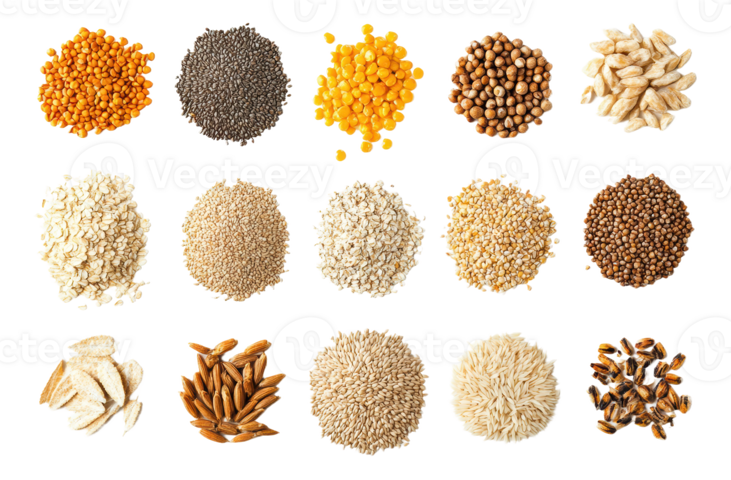 variedade do colorida especiarias e grãos ordenadamente arranjado, cortar Fora - estoque . png