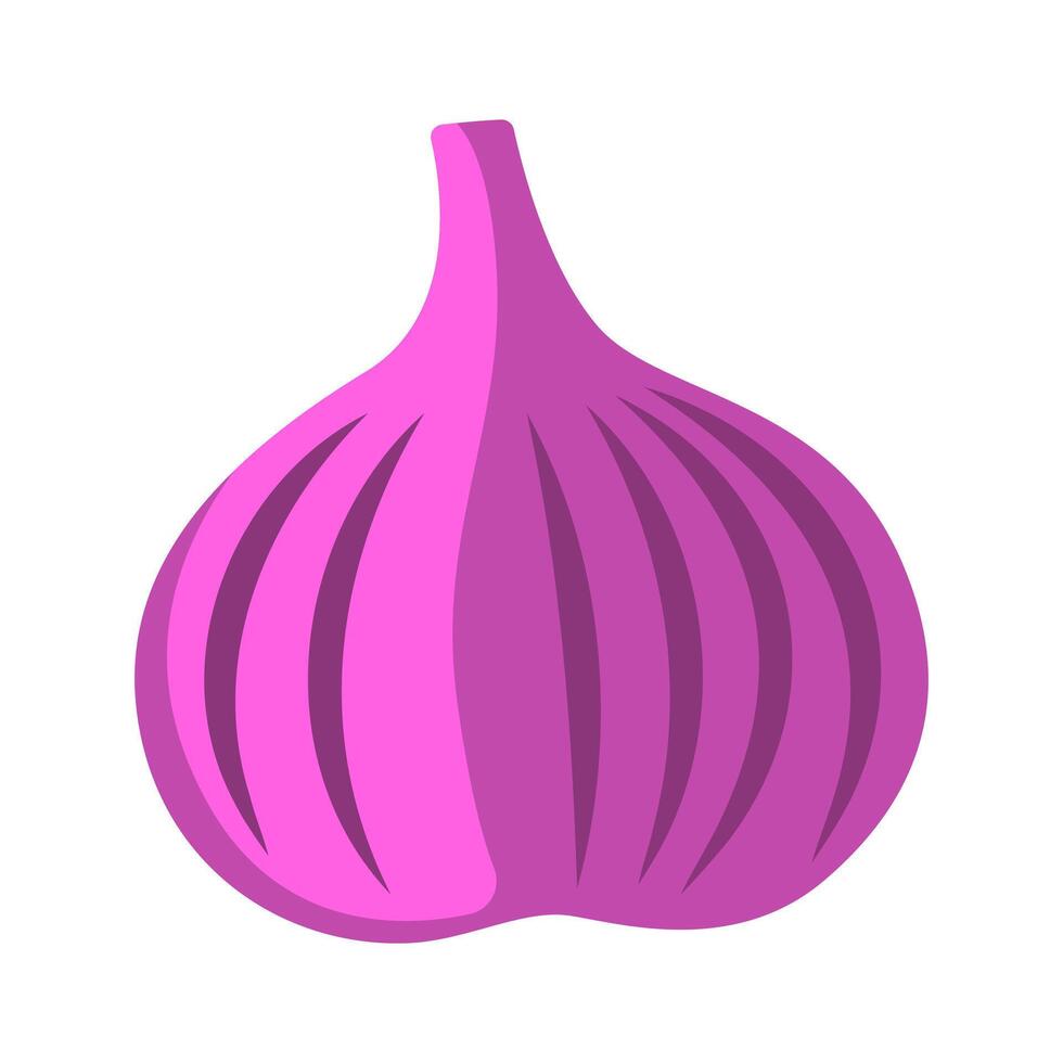 Whole Onion Illustration vector