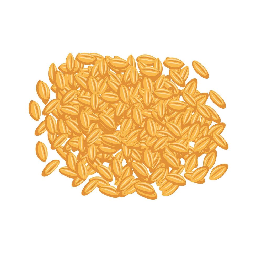 Whole Rice Illustration vector