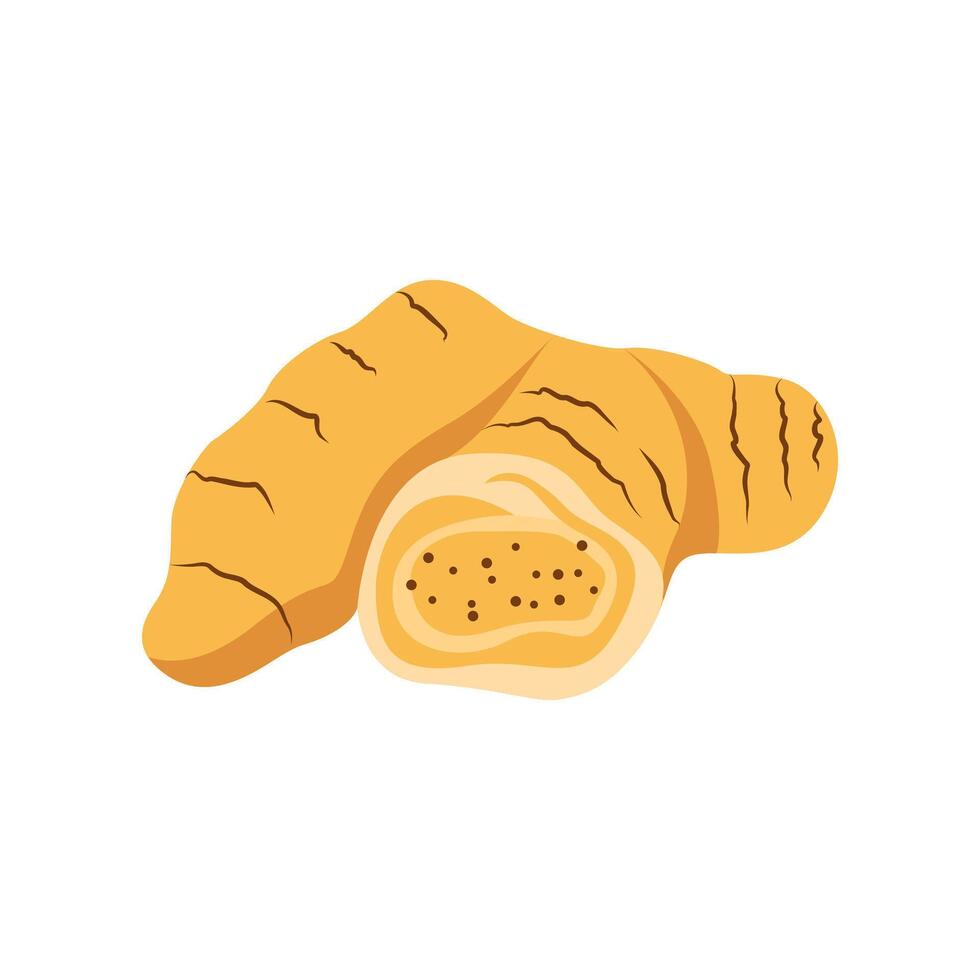 Ginger Slice Illustration vector