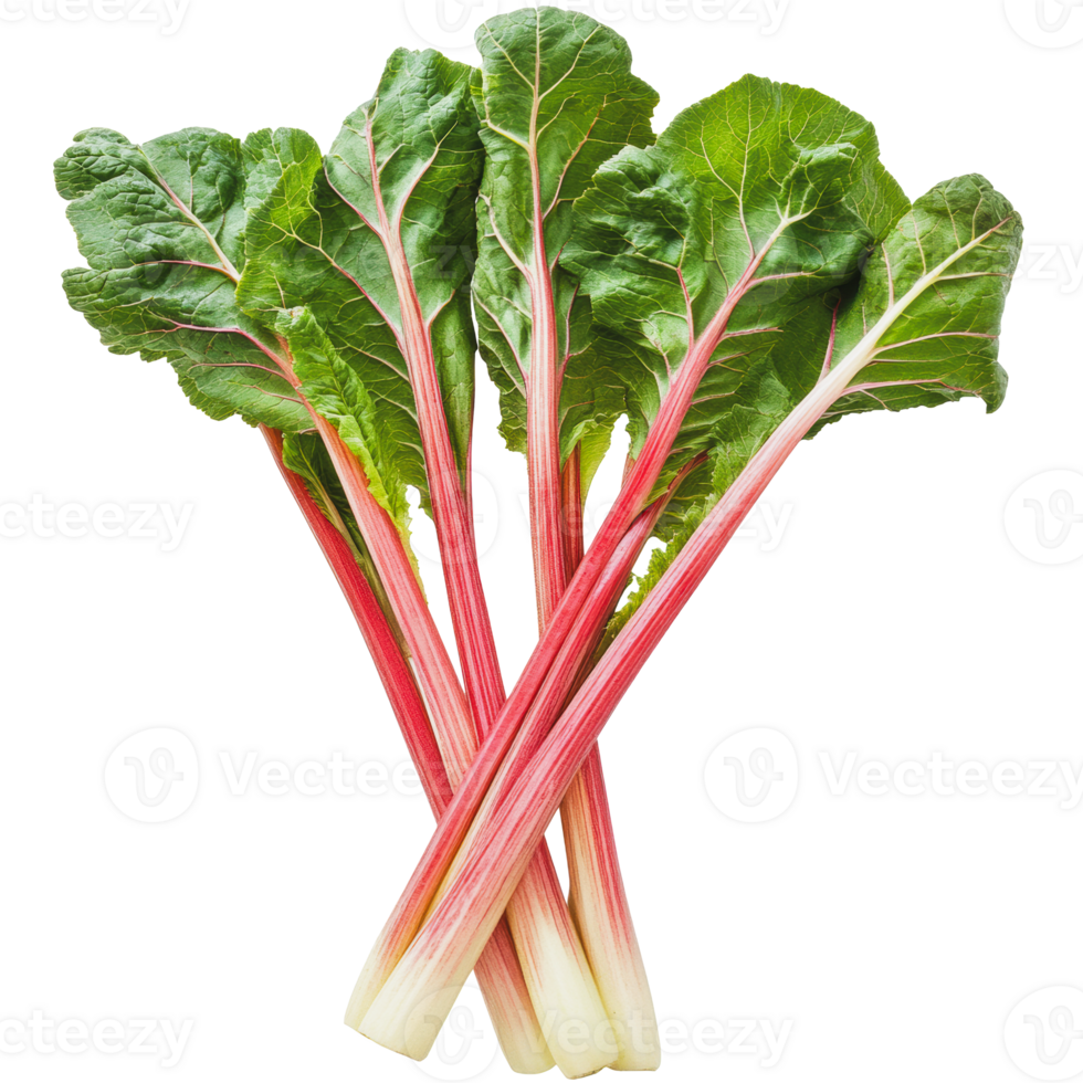 Fresh rhubarb stalks on a white background png