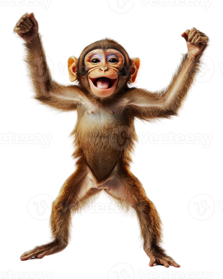 Joyful monkey dancing on white background, cut out - stock . png