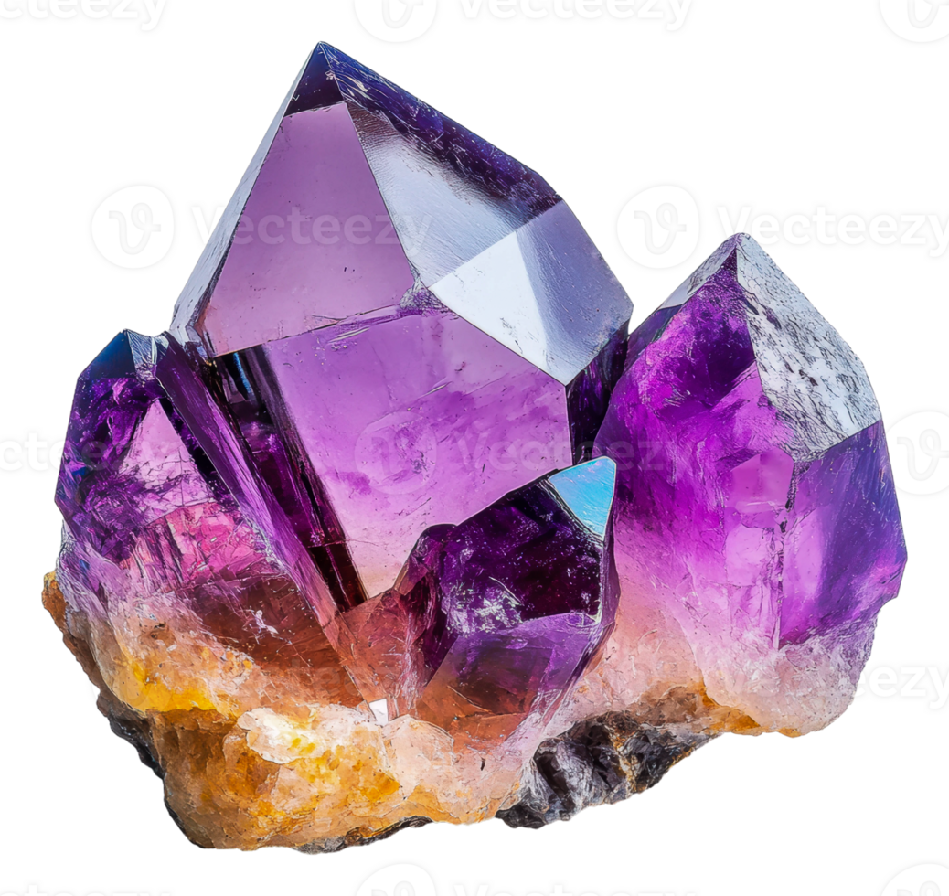 Amethyst crystal cluster on display, cut out - stock . png