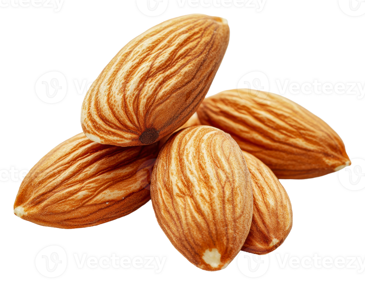Fresh almonds arranged on a white background png