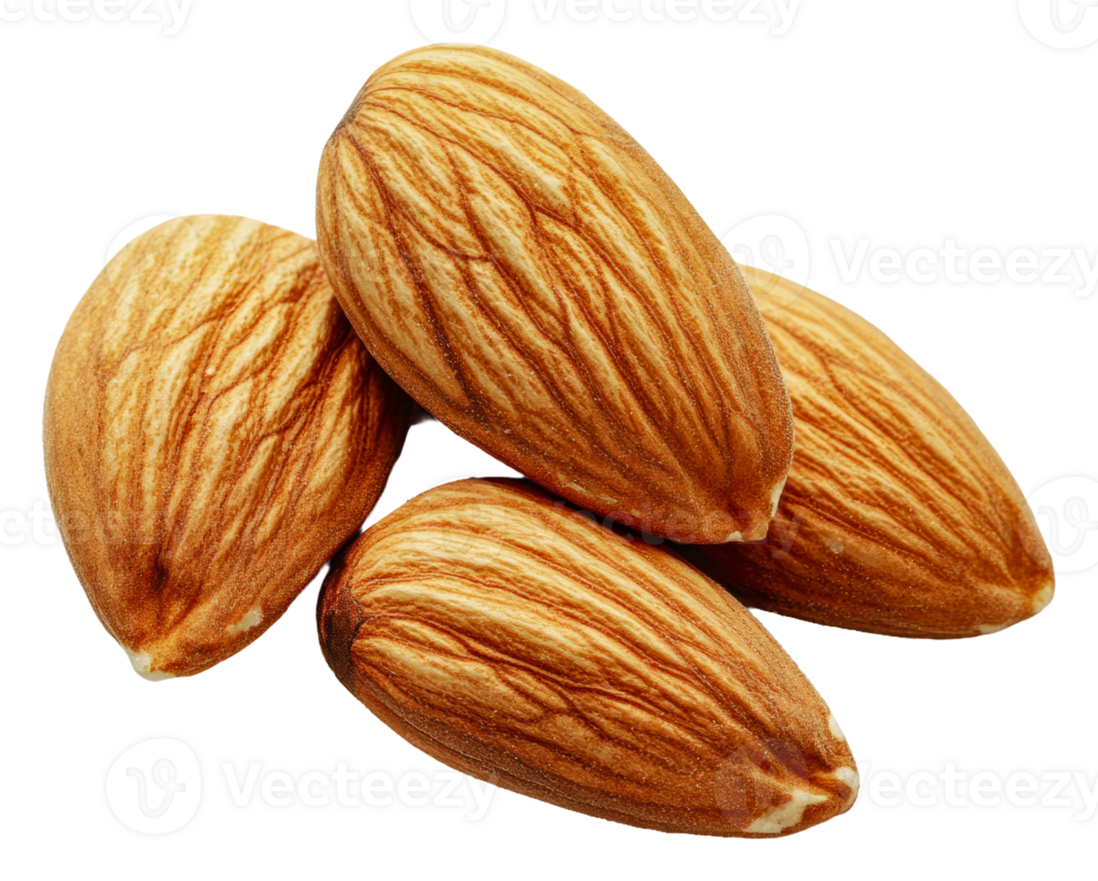 Fresh almonds neatly arranged png