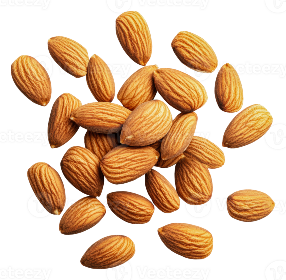 Freshly harvested almonds scattered on a surface png