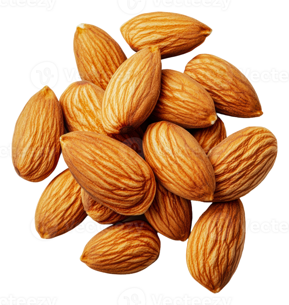 Almonds arranged neatly on a white background png