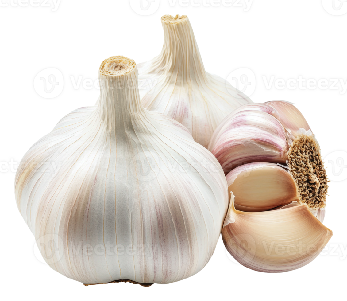 Fresh garlic bulbs and cloves arranged beautifully png
